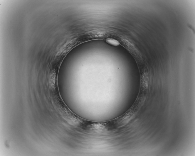 X0000100900509200807011223