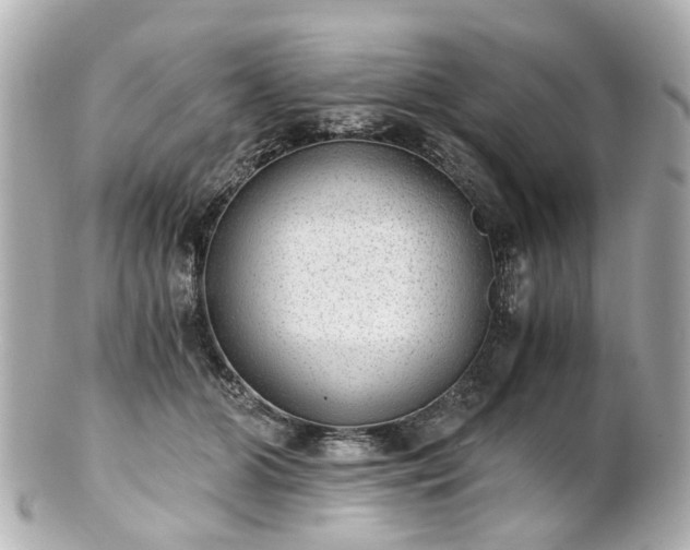 X0000100900510200807011223