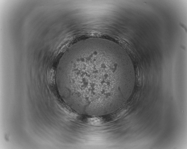 X0000100900511200807011223