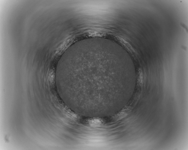 X0000100900513200807011223