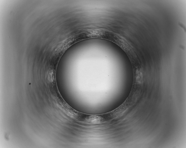 X0000100900514200807011223