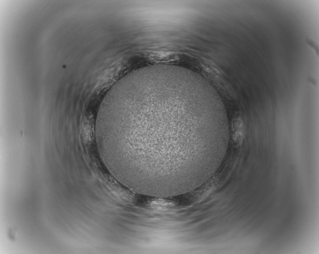 X0000100900515200807011223