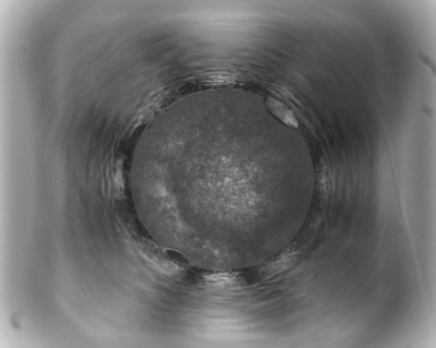 X0000100900516200807011223