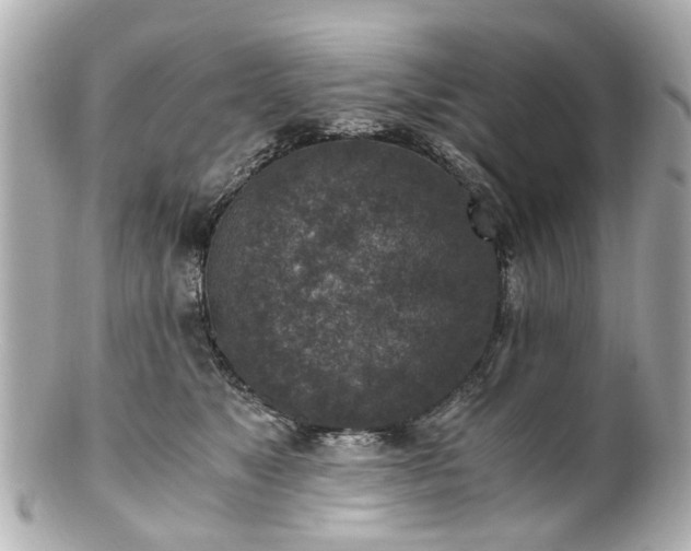 X0000100900517200807011223