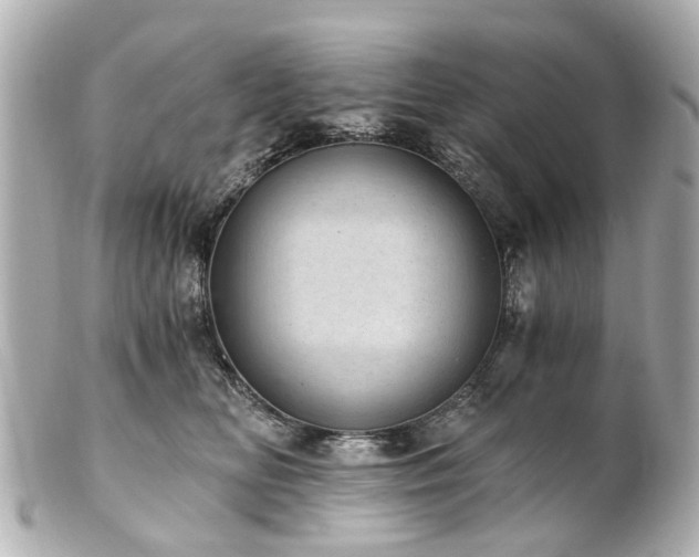 X0000100900518200807011223