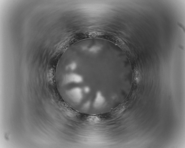 X0000100900519200807011223