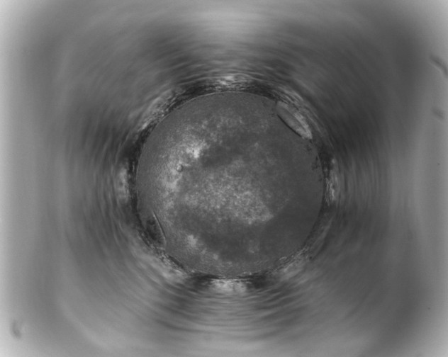 X0000100900520200807011223