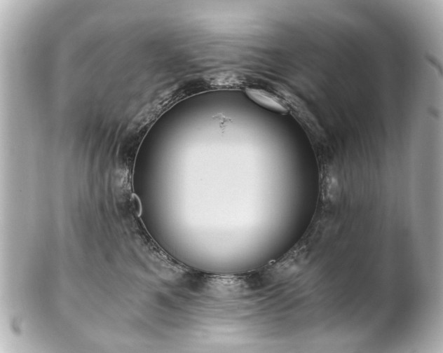 X0000100900521200807011223