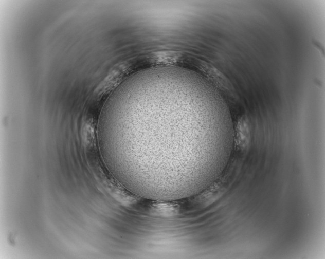 X0000100900522200807011223