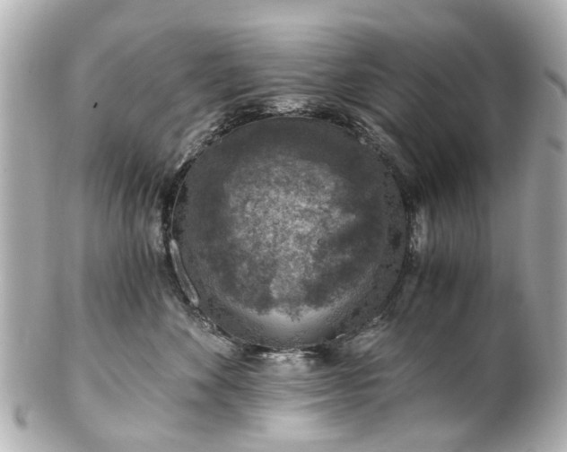 X0000100900524200807011223