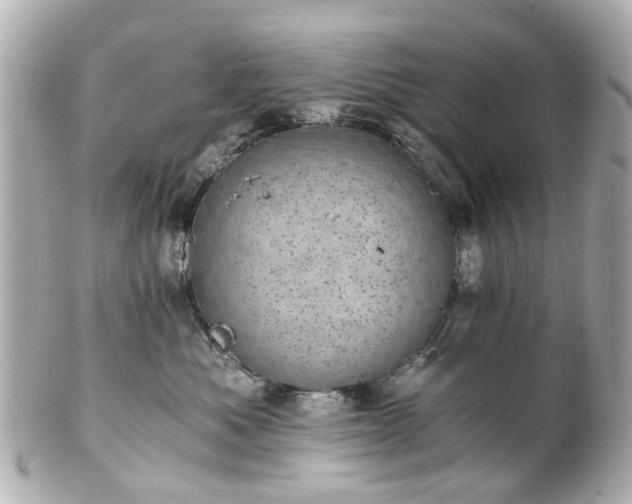 X0000100900525200807011223