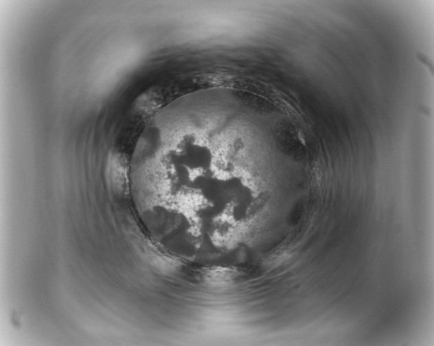 X0000100900527200807011223