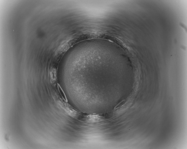 X0000100900528200807011223