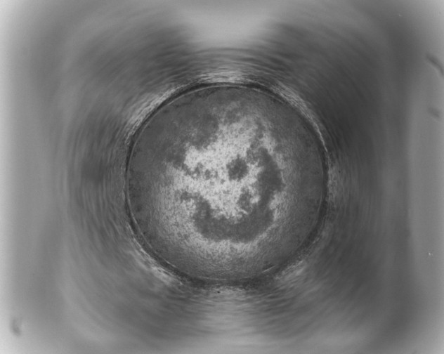 X0000100900529200807011222