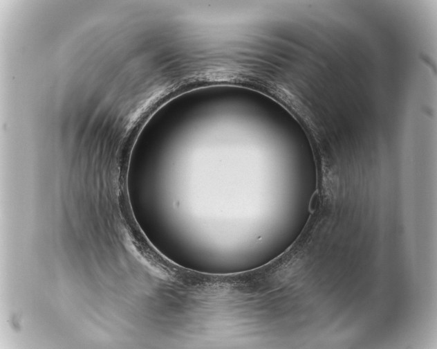 X0000100900530200807011222