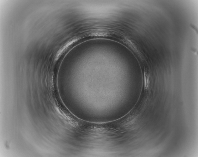 X0000100900531200807011222