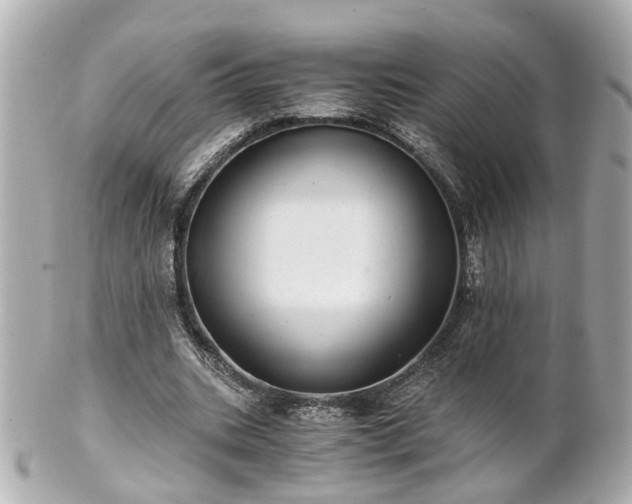 X0000100900535200807011222