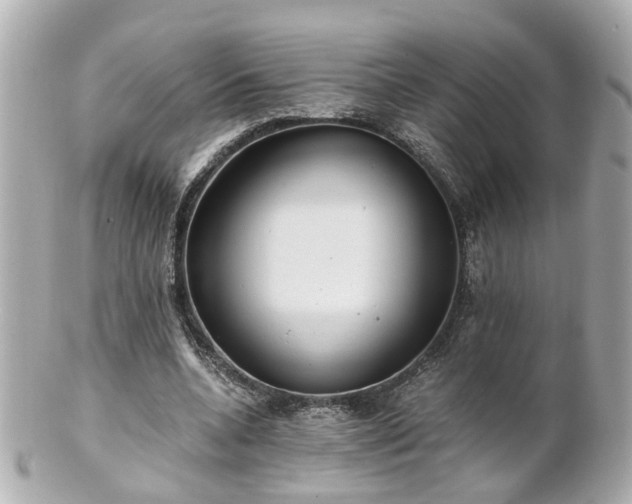 X0000100900536200807011222