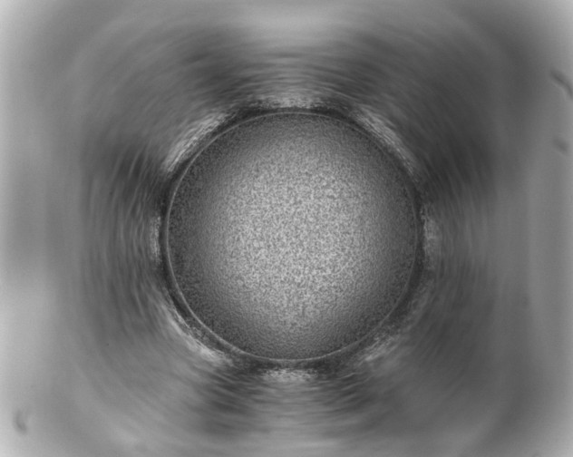 X0000100900537200807011222