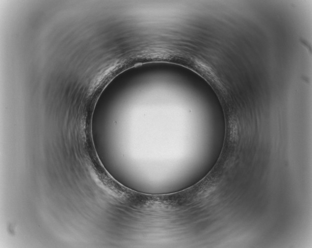 X0000100900538200807011222