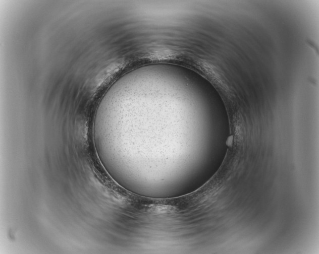 X0000100900539200807011222