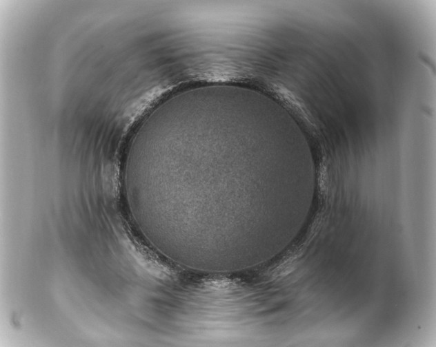 X0000100900540200807011223