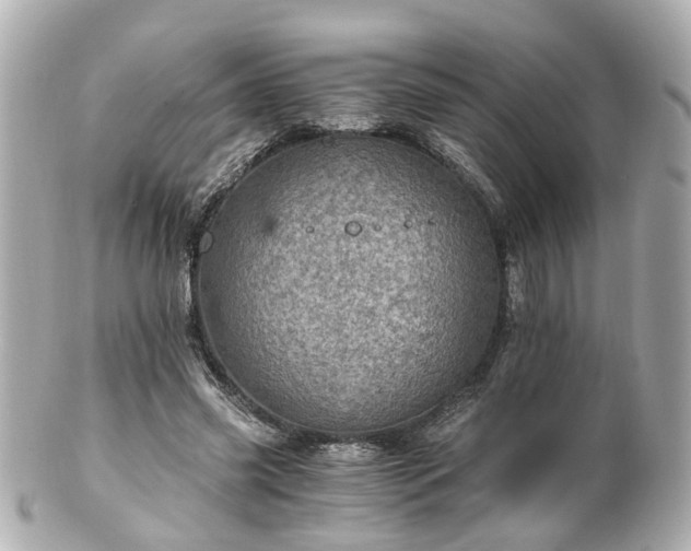 X0000100900541200807011223