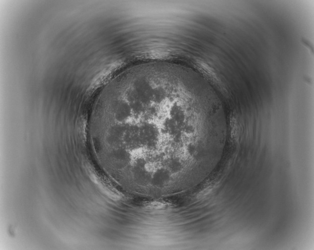 X0000100900542200807011223