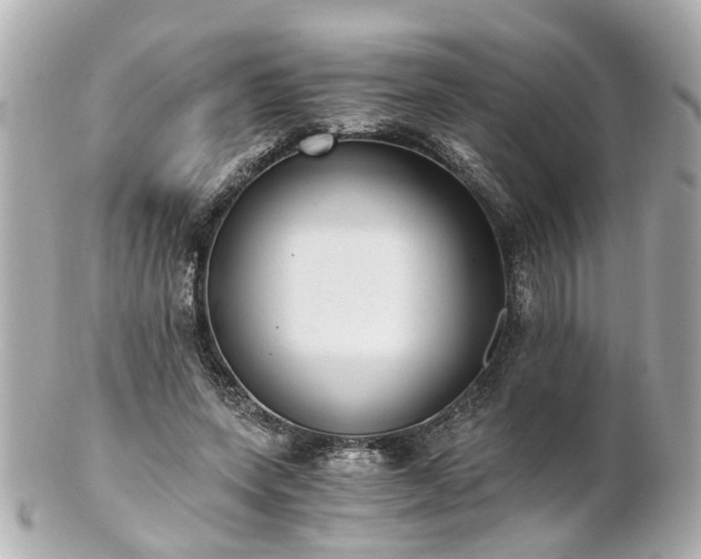 X0000100900543200807011223