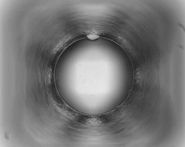 X0000100900544200807011223