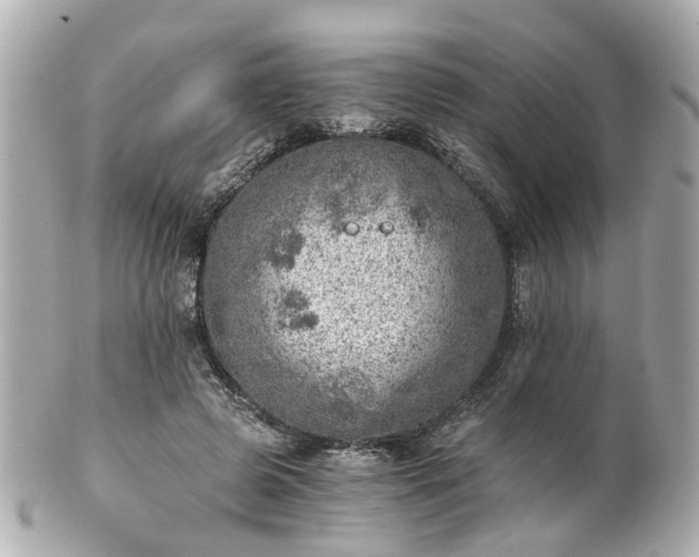 X0000100900545200807011223