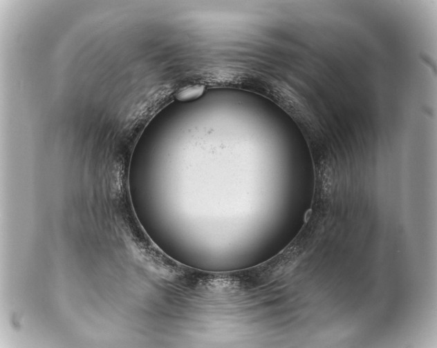 X0000100900546200807011223