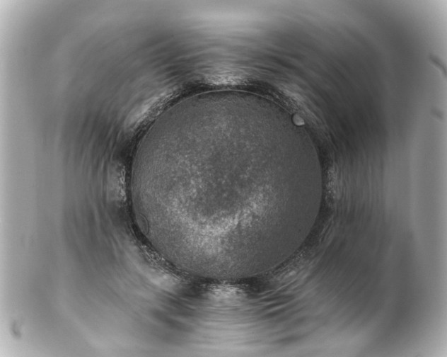 X0000100900547200807011223