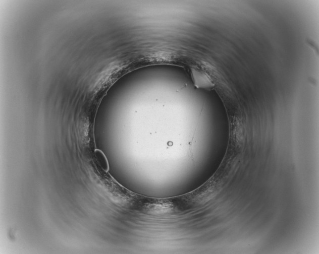 X0000100900548200807011223