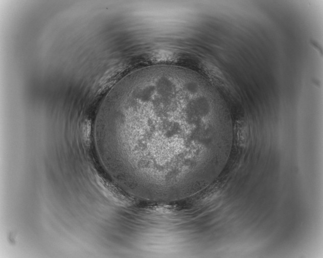 X0000100900550200807011223