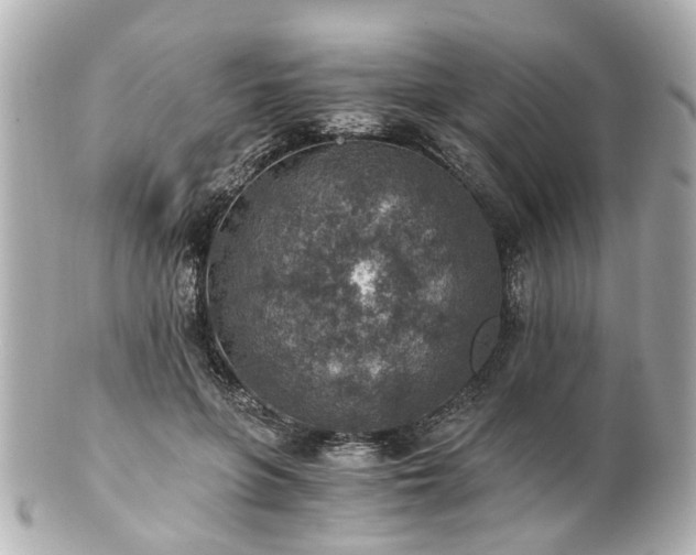 X0000100900551200807011223