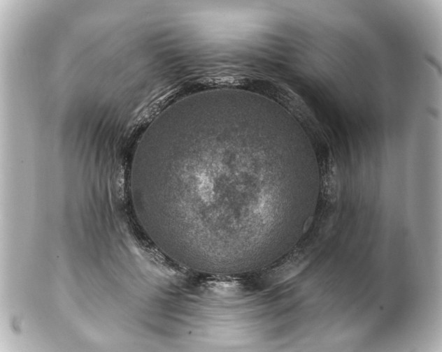 X0000100900552200807011223