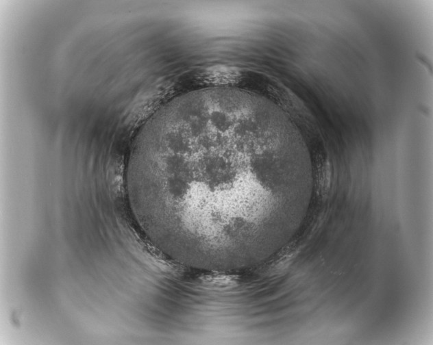 X0000100900553200807011223