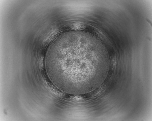 X0000100900554200807011223