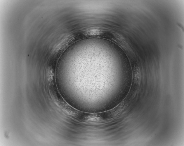 X0000100900555200807011223