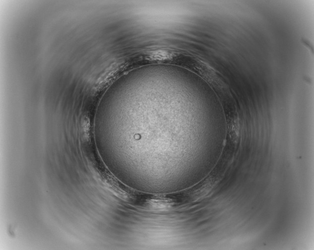 X0000100900556200807011223