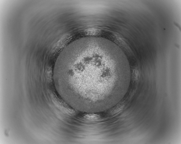 X0000100900557200807011223