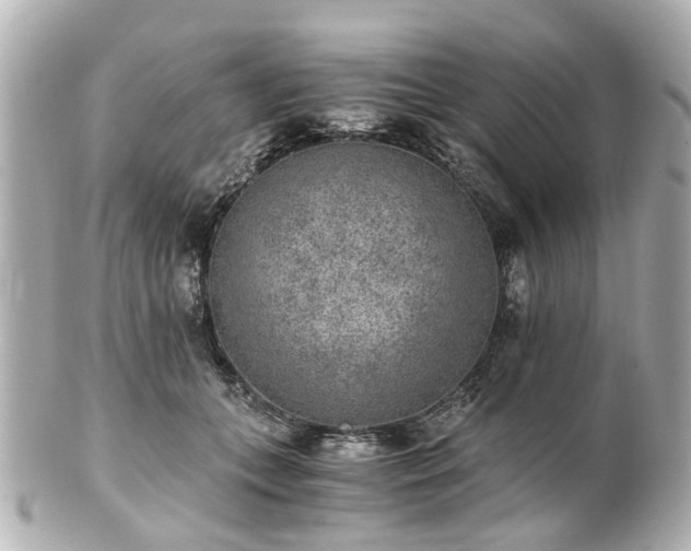 X0000100900559200807011223