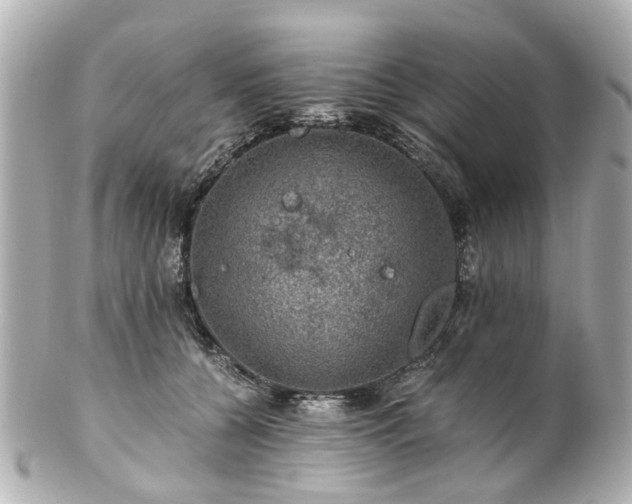 X0000100900560200807011223