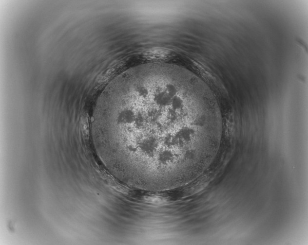 X0000100900561200807011223