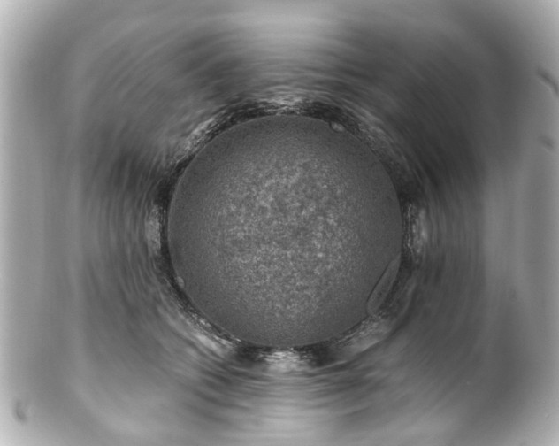 X0000100900562200807011223