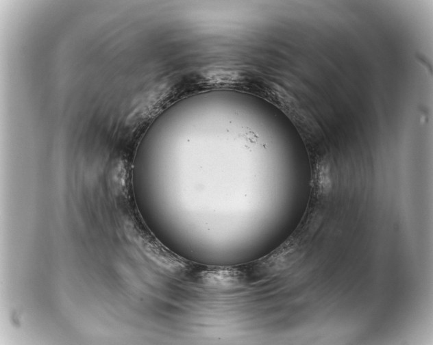 X0000100900567200807011223