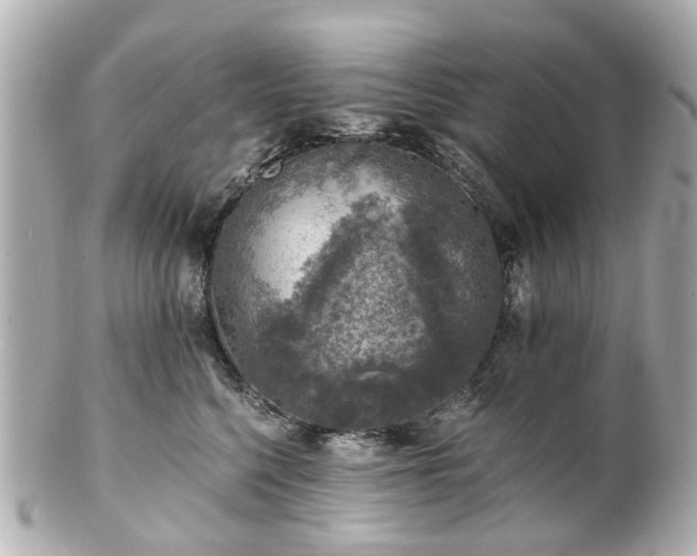 X0000100900568200807011223