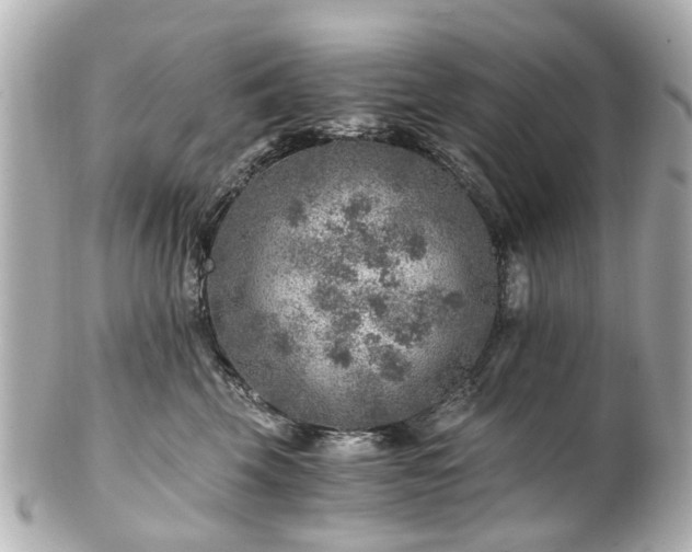 X0000100900569200807011223