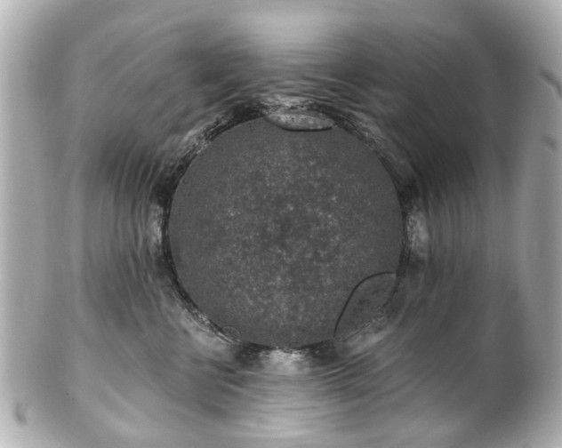 X0000100900570200807011223